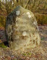 Neuling gl. kirkeg�rd. Klik for et st�rre billede. Foto 6/2 2005.