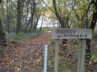 Neuling gl. kirkeg�rd. Klik for et st�rre billede. Foto 26/10 2009.