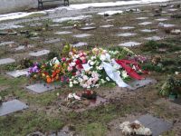 Blomsterne. Klik for et st�rre billede.