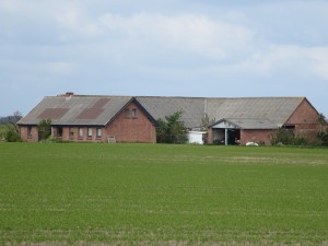 Skov, 5/5 2019
