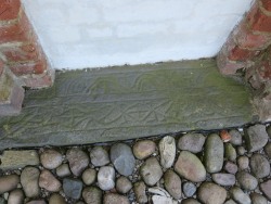 Keltisk d�rtrin
