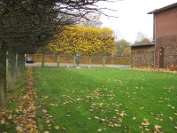De ukendtes grav i Fovrfeld gravlund. Klik for et st�rre billede. Foto 31/10 2009.