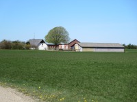 Kokhauge. Foto 3/5 2022.