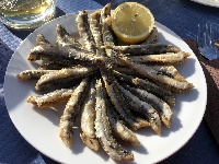 Ansjoser (boquerones) 