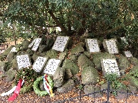Krigergravene