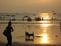Aften p� stranden. Klik for et st�rre billede.