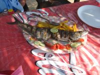Grillet kingfish. Klik for et st�rre billede.