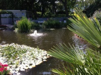 Planten un Blomen