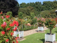 Planten un Blomen