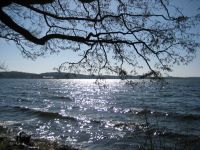 Pl�n. Klik for et st�rre billede
