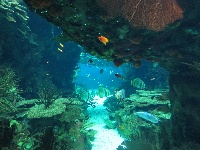 Oceanariet