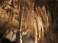 Dragegrotten
