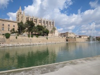 Katedralen i Palma