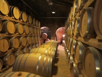 Vinlager hos Ribas