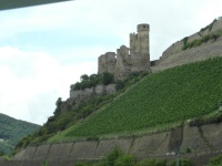 Ehrenfels
