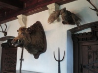 Jagtrummet i Reichsburg