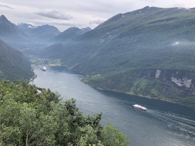 Fra �rnesvingen