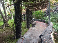 Aquatic Garden