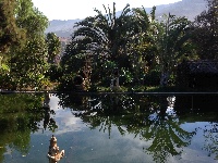 Aquatic Garden