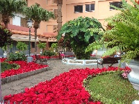 Plaza V�ctor P�rez