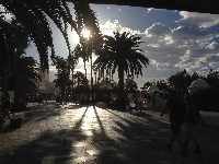 Promenaden ved Lago Marti�nez