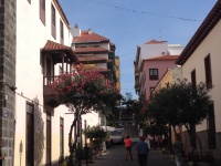 Motiv fra Puerto de la Cruz