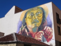Motiv fra Puerto de la Cruz