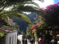 Masca