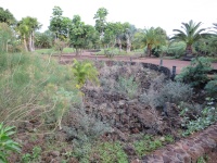 Taoro Parque
