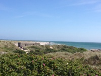 Grenen