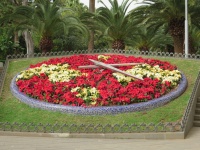 Blomsteruret