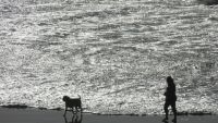 Stranden