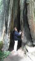 Lady Bird Johnson Grove