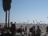 Venice Beach
