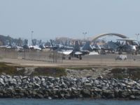 Flybase