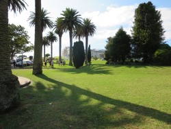 Auckland Domain