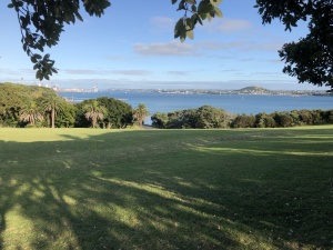 Udsigt mod Auckland