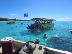 Sv�mning og snorkling