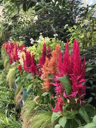 Wintergarden