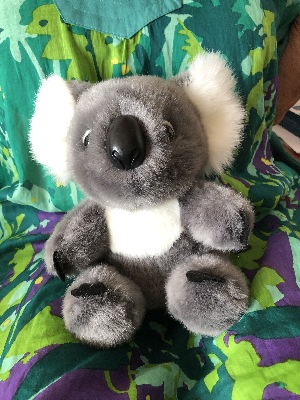 Koala t�jdyr