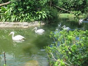 Zoo