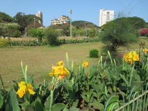 De h�ngende haver