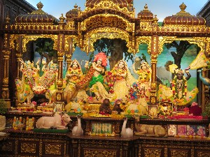 Krishna templets sal 