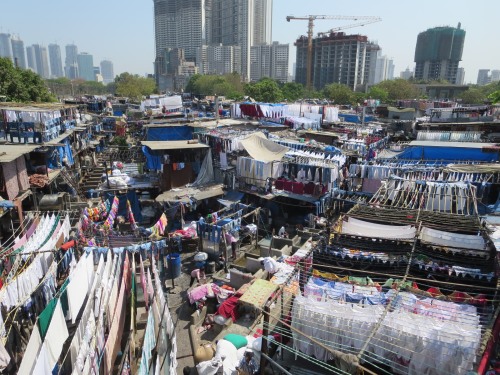 Vaskeriet Mahalaxmi Dhobi Ghat